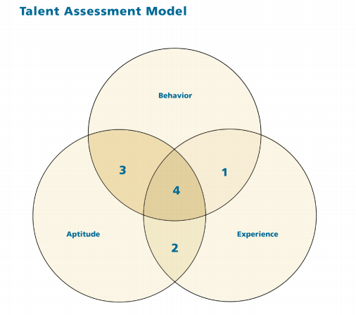 Forget About Generations—Focus on Assessing Talent